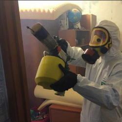 Уничтожение клопов в квартире. Хамовники
